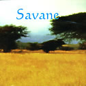 Savane, CD coverart