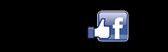 Facebook button, will link you to connect with Pamela Fleming & Fearless Dreamer on Facebook